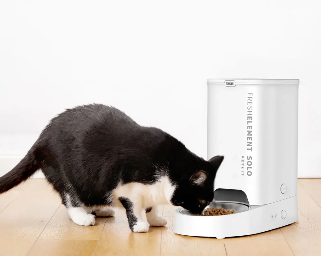 comedero automatico para mascotas petkit