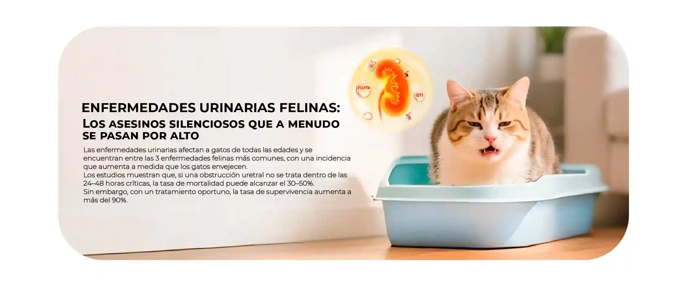 Eliminador de olores N50 2.0 Petkit Lima Perú