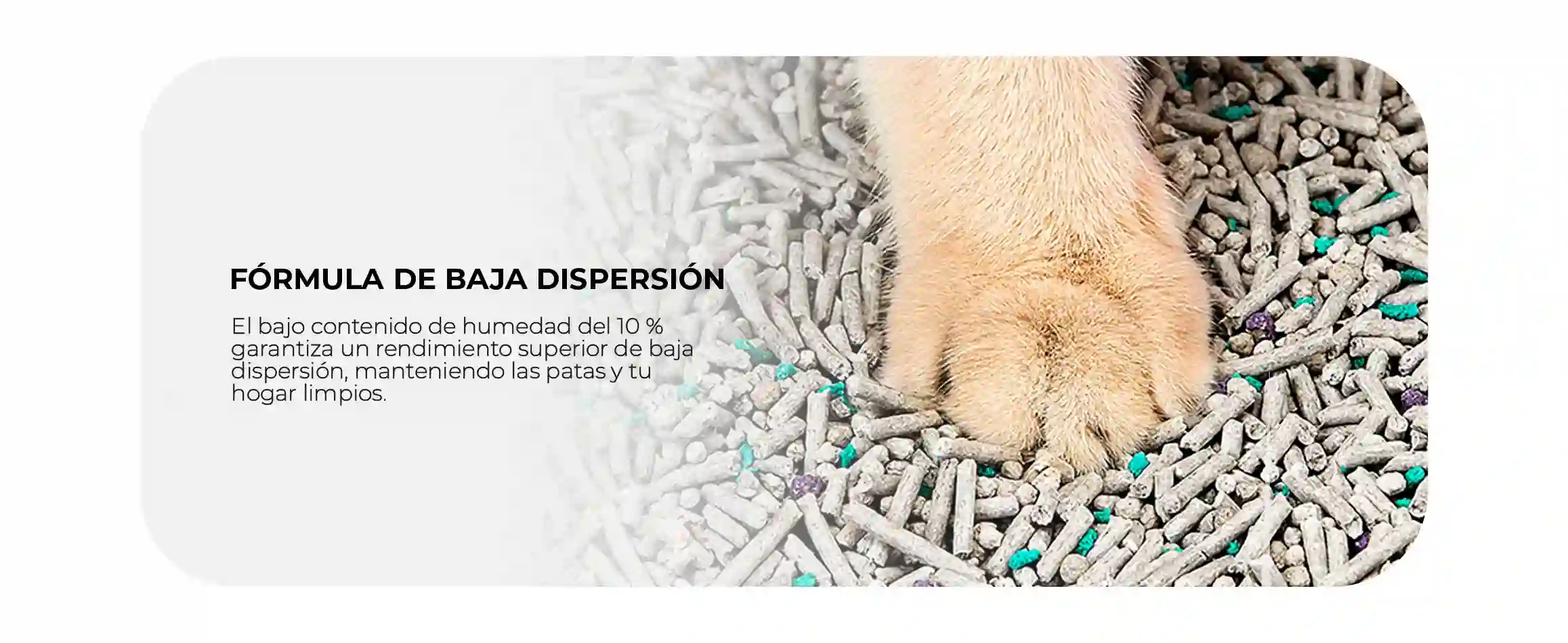 Arena Everclean Flushable Petkit Lima Perú