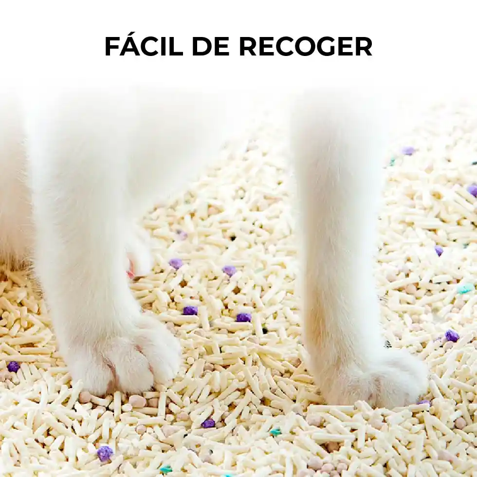 Arena para gatos TOFFU petkit en Lima Peru