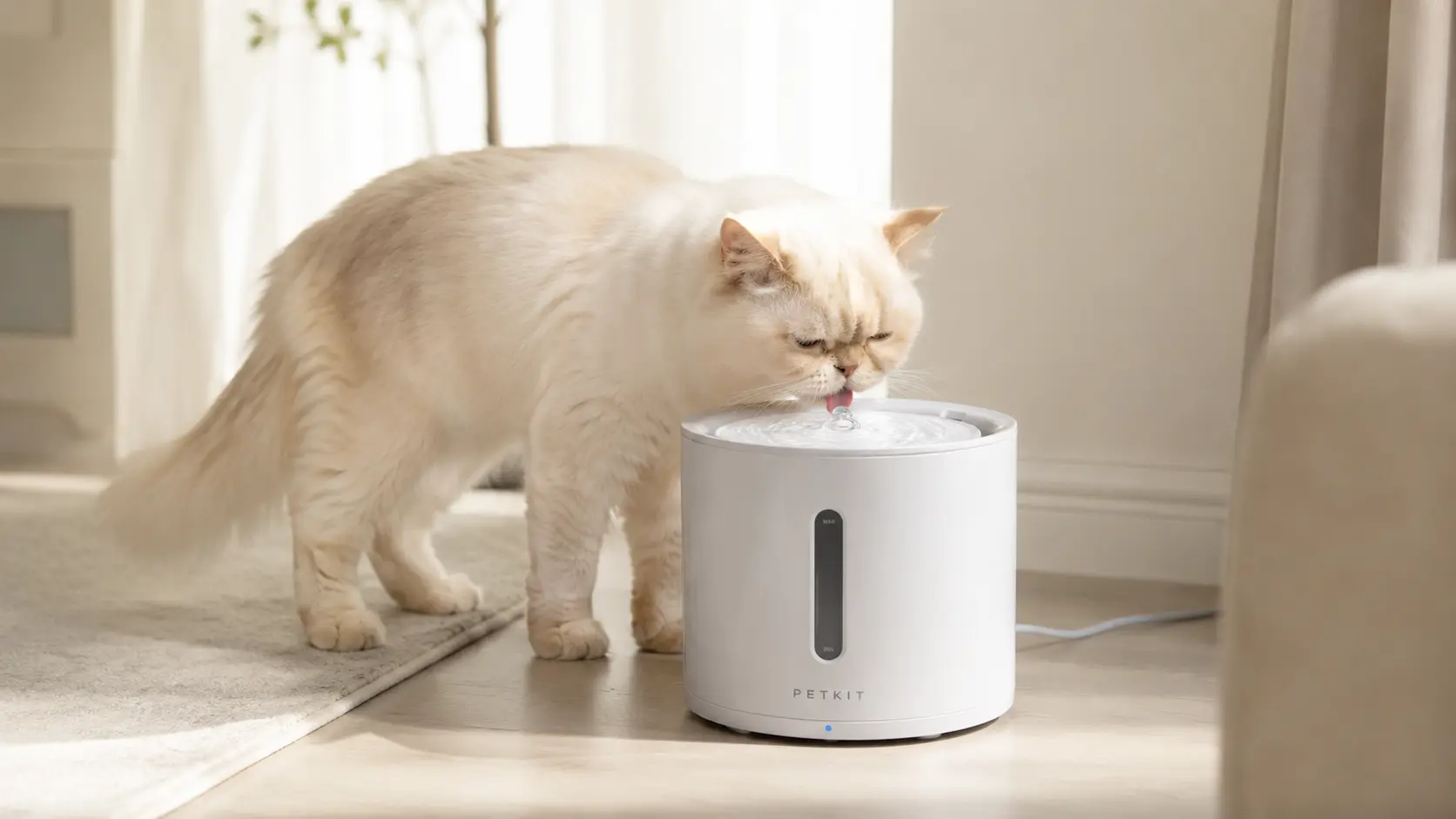 bebedero automático para gatos Petkit Eversweet — hidratación felina